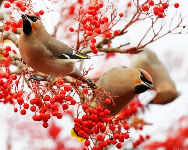 Birds And Red Berries Animals Painting By Numberss.png