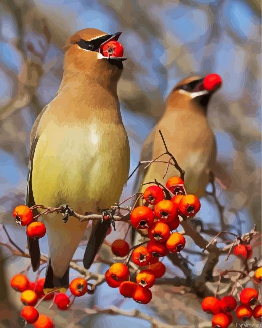 Birds Eating Red Berries Paint By Numbers