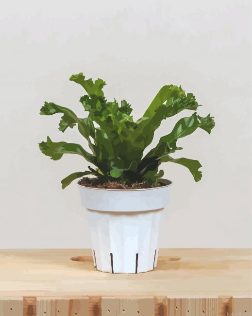Birds Fern Painting By Numberss.png