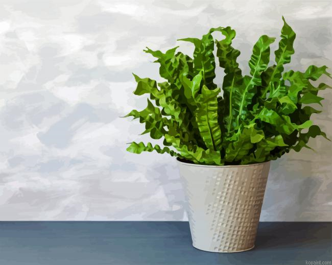 Birds Fern Plant Painting By Numberss.png
