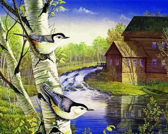 Birds On Birch Trees Art Paint By Numbers