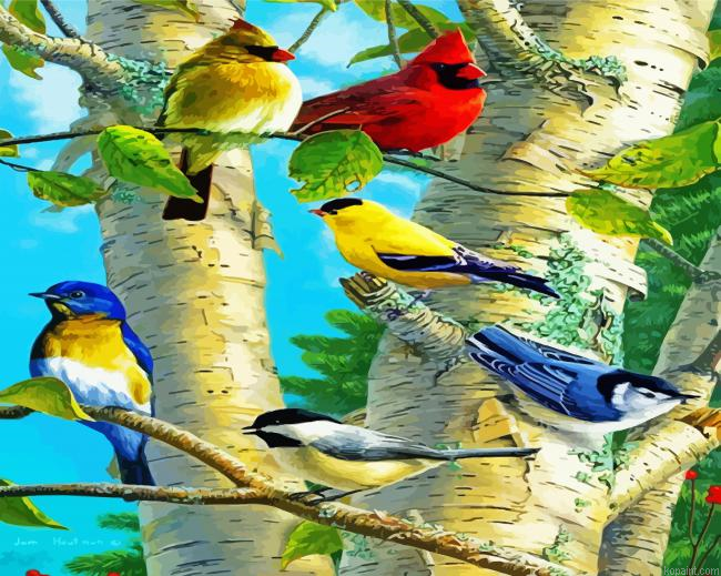 Birds On Birch Trees Paint By Numbers