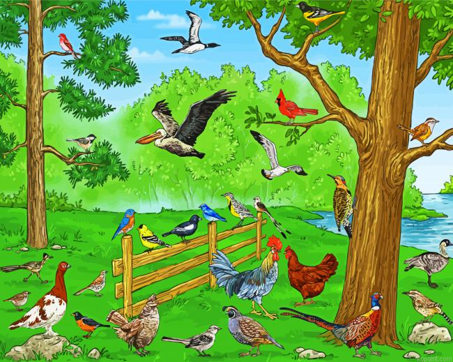 Birds Spicies In Farm Painting By Numberss.png