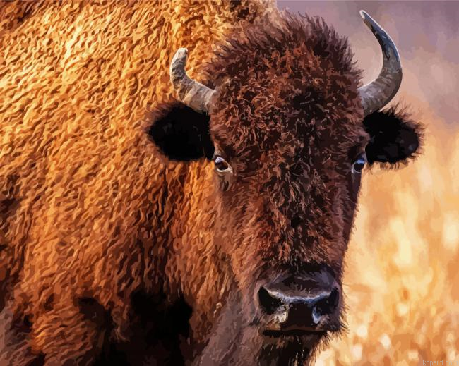 Bison Painting By Numberss.png