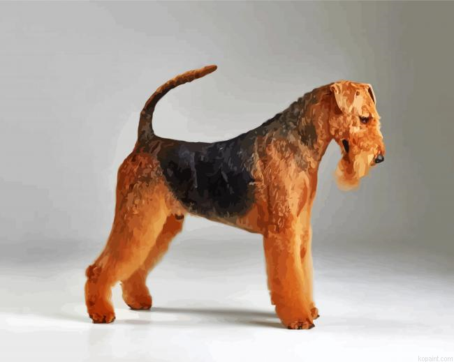 Black And Brown Airedale Terrier Painting By Numberss.png