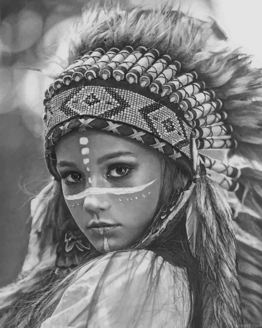Black And White Amerindian New Painting By Numberss.png