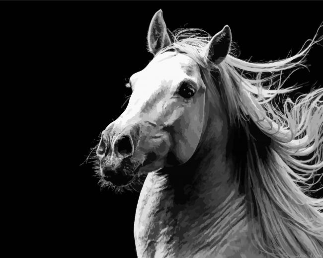 Black And White Andalusian Horse Painting By Numberss.png