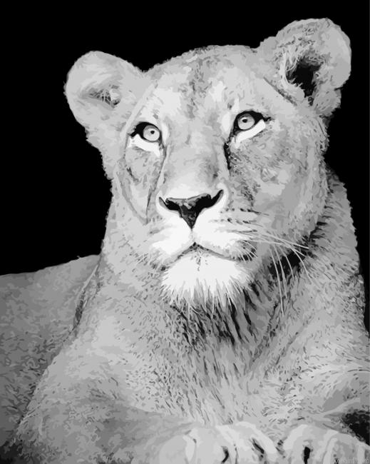 Black And White Animal Paint By Numbers