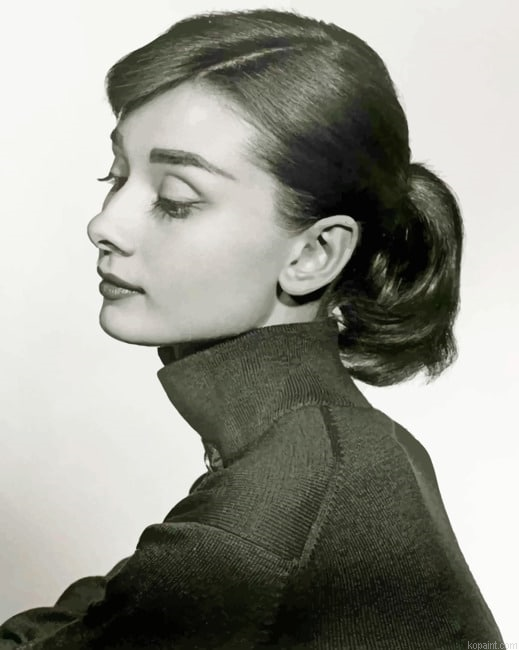 Black And White Audrey Hepburn Portrait New Painting By Numberss.png