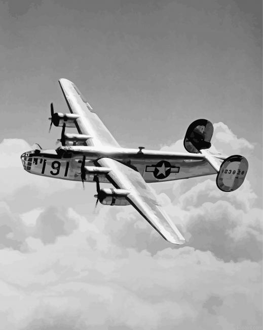 Black And White B 24 Bomber Painting By Numberss.png