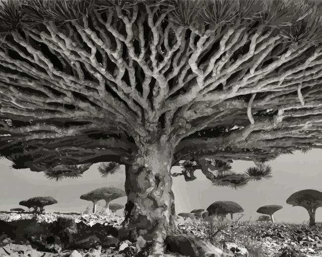 Black And White Big Tree Painting By Numberss.png