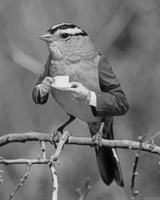 Black And White Bird Drinking New Painting By Numberss.png