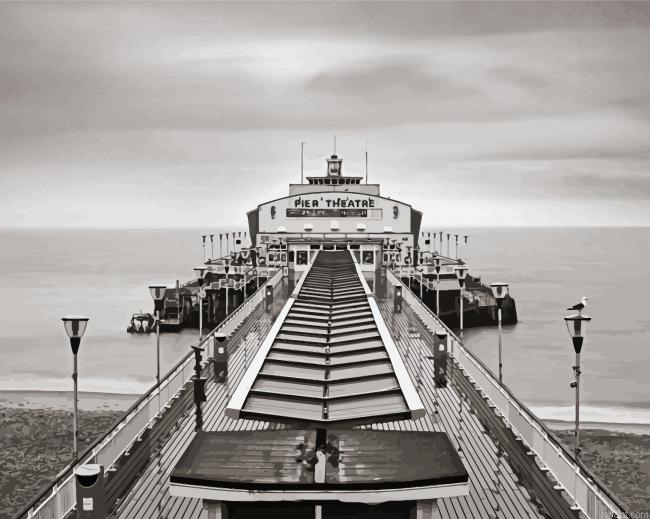 Black And White Bournemouth Pier Painting By Numberss.png