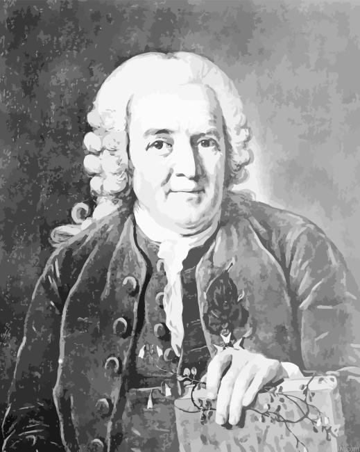Black And White Carl Linnaeus Painting By Numberss.png