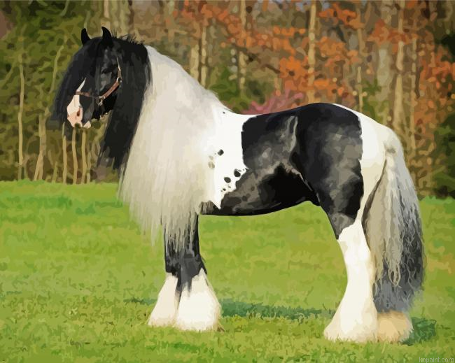 Black And White Clydesdale Horse Painting By Numberss.png