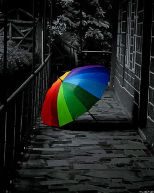 Black And White Colorful Umbrella Paint By Numbers