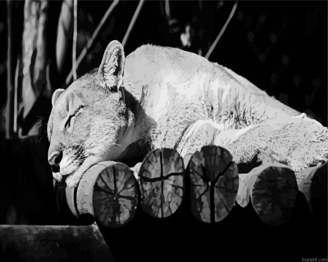 Black And White Cougar Paint By Numbers.png