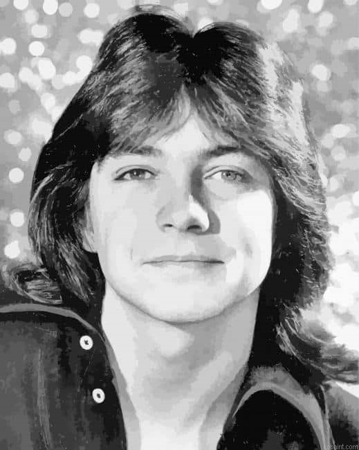 Black And White David Cassidy Painting By Numberss.png