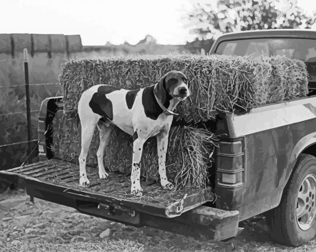 Black And White Dog In Truck Painting By Numberss.png