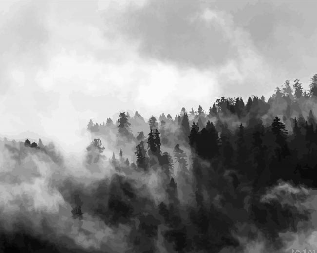 Black And White Forest Landscape Painting By Numberss.png