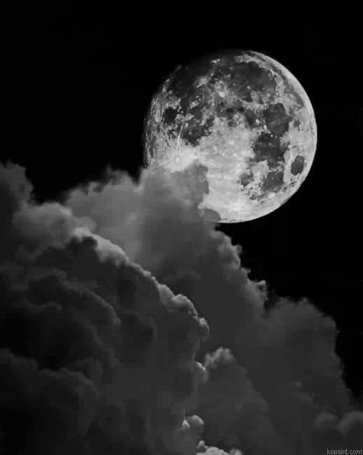 Black And White Full Moon New Painting By Numberss.png