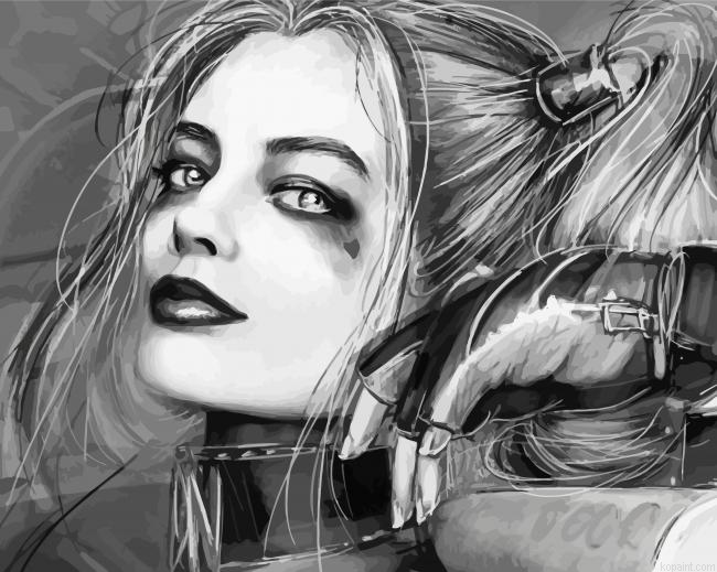 Black And White Harley Quinn Character Art Painting By Numberss.png