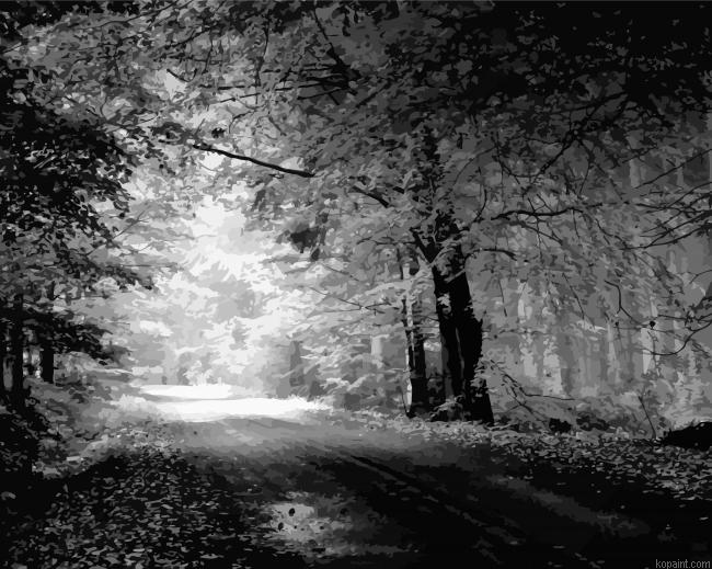 Black And White Nature Illustration Painting By Numberss.png