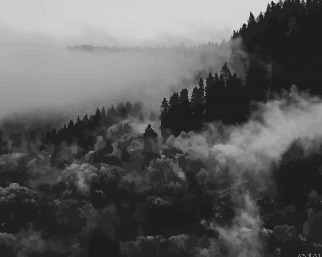 Black And White Nature Painting By Numberss.png