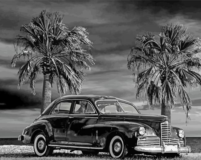 Black And White Palm Trees And Car Painting By Numberss.png