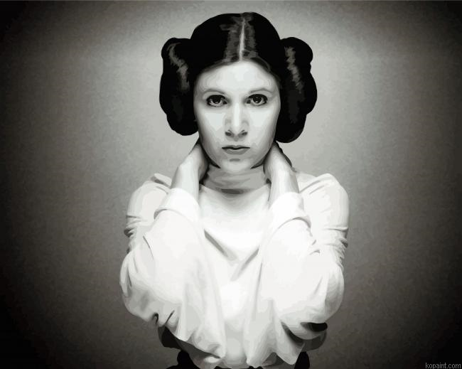 Black And White Princess Leia Painting By Numberss.png
