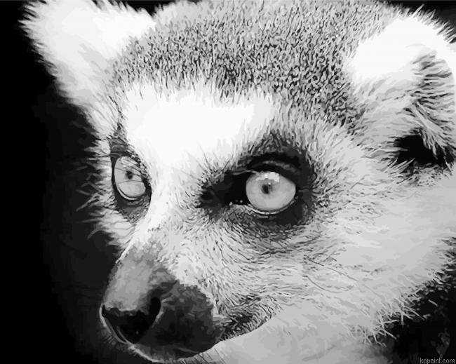 Black And White Raccoon Animal Painting By Numberss.png