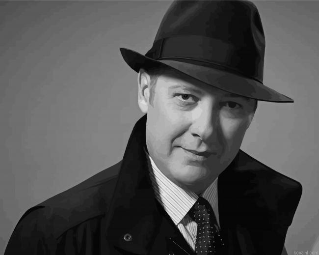 Black And White Raymond Reddington Painting By Numberss.png