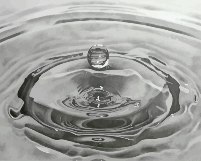 Black And White Realistic Water Drop Painting By Numberss.png