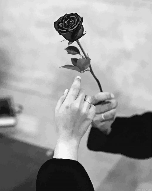 Black And White Rose Flowers Painting By Numberss.png