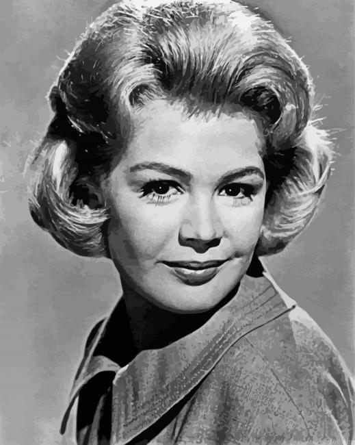Black And White Sandra Dee Painting By Numberss.png