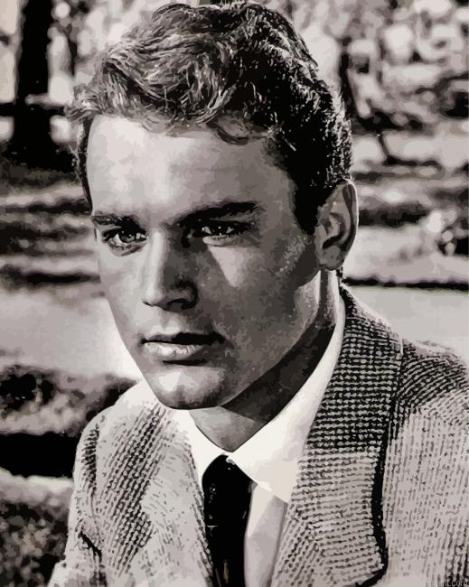 Black And White Terence Hill Painting By Numberss.png