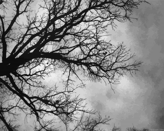 Black And White Tree Illustration Painting By Numberss.png