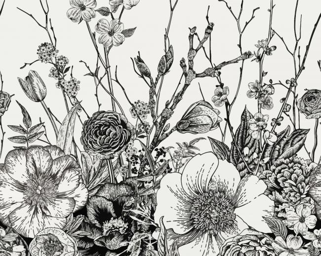Black And White Vintage Flowers Painting By Numberss.png