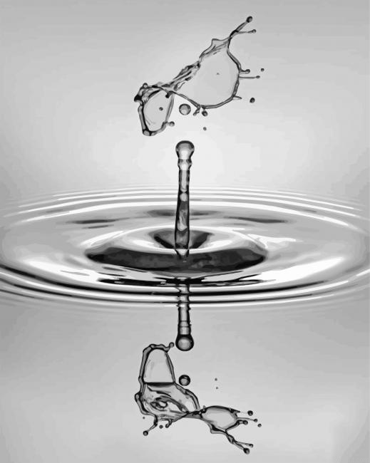 Black And White Water Drop Painting By Numberss.png