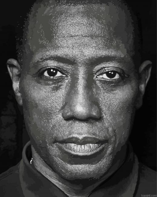 Black And White Wesley Snipes Painting By Numberss.png
