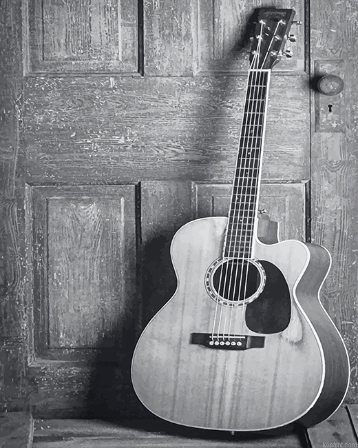 Black And White Guitar New Painting By Numberss.png