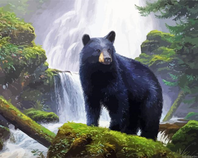 Black Bear And Waterfall Paint By Numbers