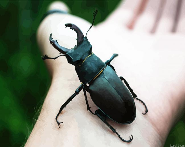Black Beetle On Hand Paint By Numbers.png