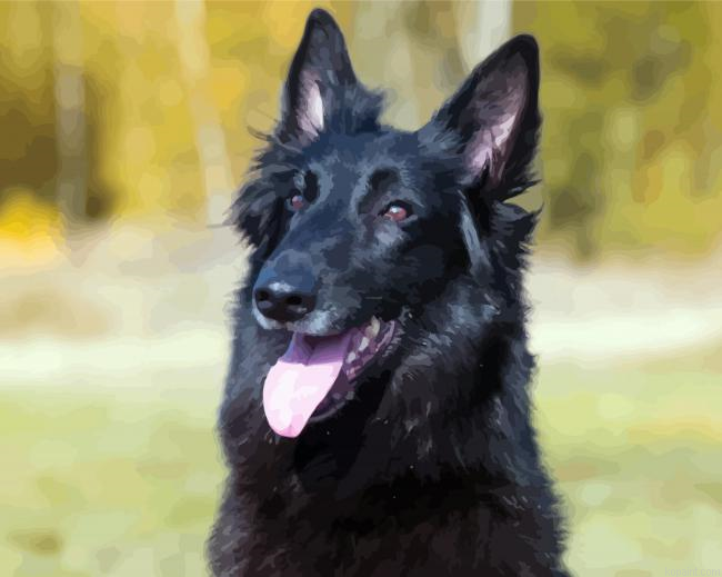 Black Belgian Shepherd Painting By Numberss.png