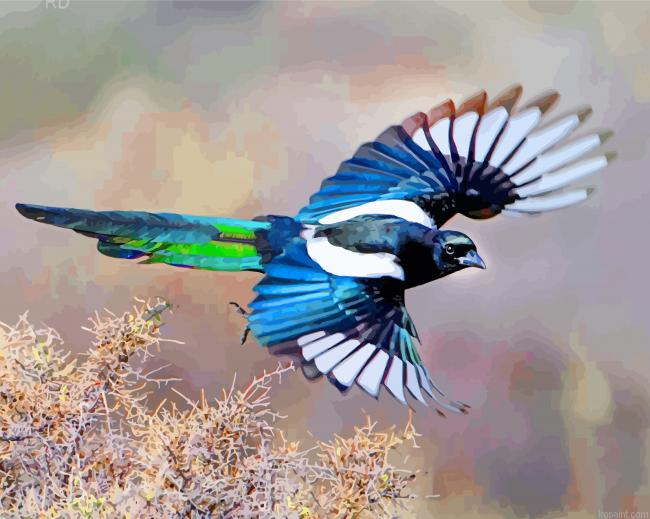 Black Billed Magpie Bird Painting By Numberss.png