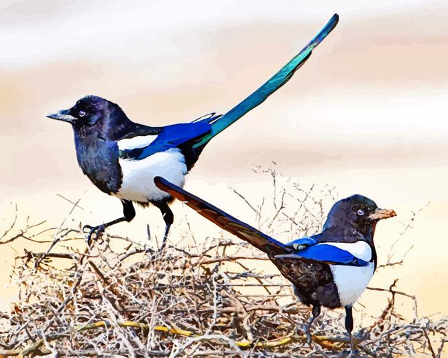 Black Billed Magpie Painting By Numberss.png