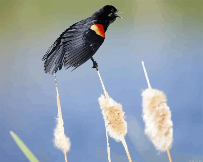 Black Bird With Red Wings Paint By Numbers