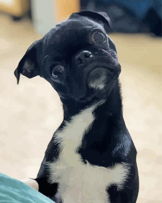 Black Bugg Dog Animal Painting By Numberss.png