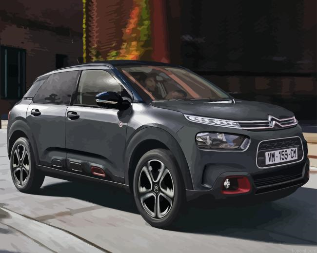 Black Car Cactus Citroen Painting By Numberss.png