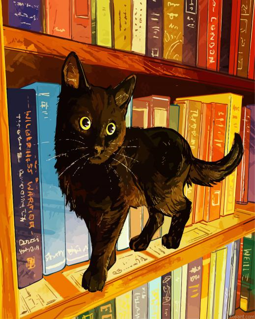 Black Cat In A Bookshelf Painting By Numberss.png